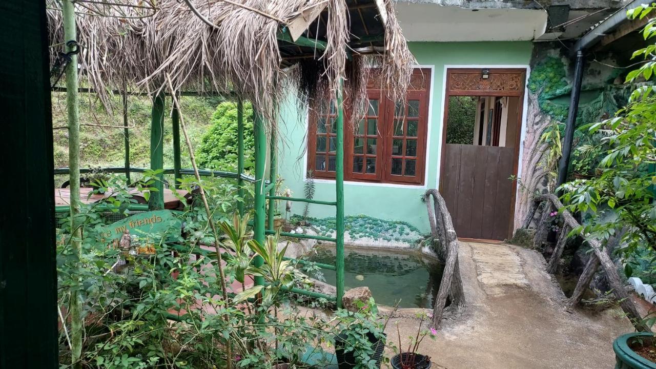 Green House Nallathanniya Zewnętrze zdjęcie